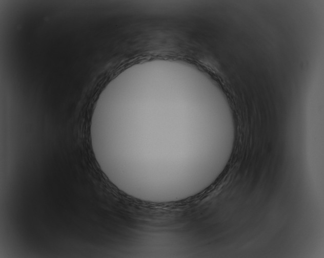 X0000090621398200707171054
