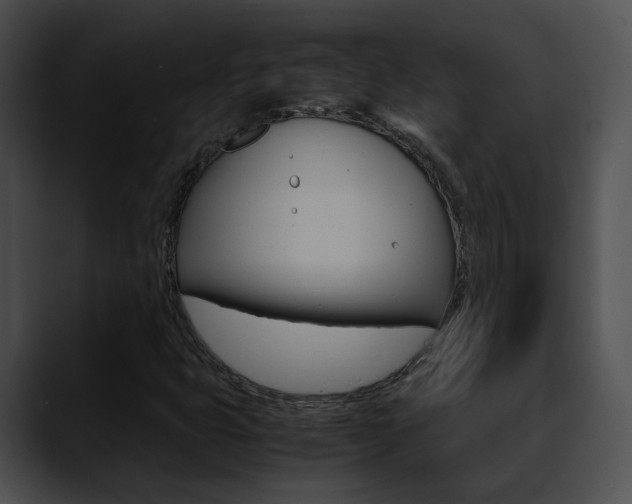 X0000090621399200707171054