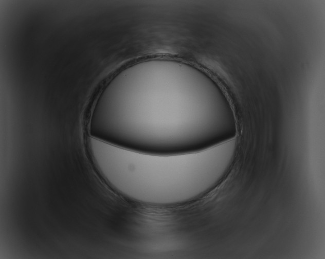 X0000090621404200707171054