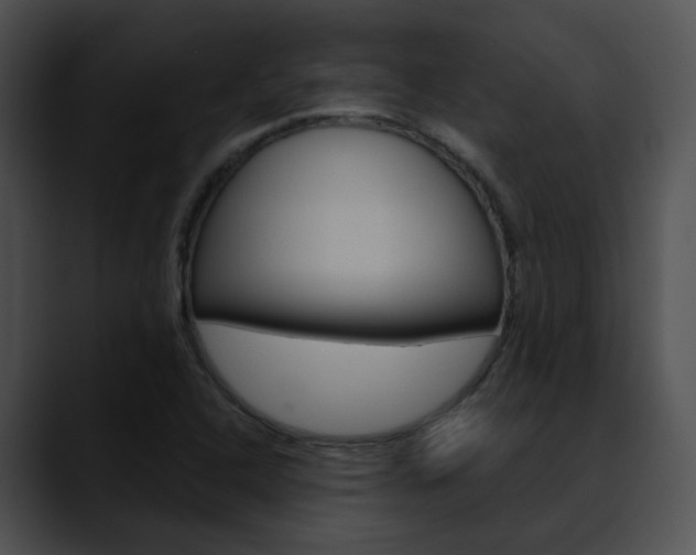 X0000090621408200707171054