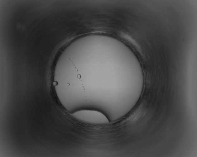 X0000090621411200707171054
