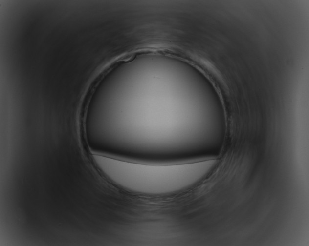 X0000090621412200707171054