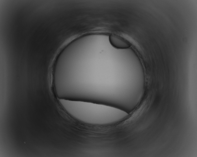 X0000090621413200707171054