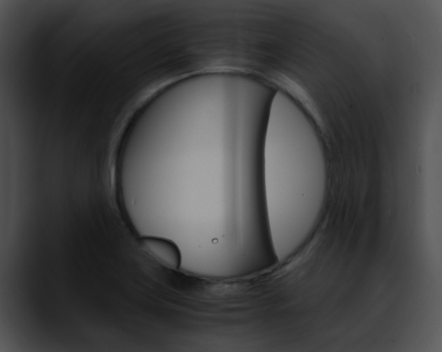X0000090621419200707171054