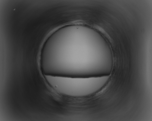 X0000090621421200707171054