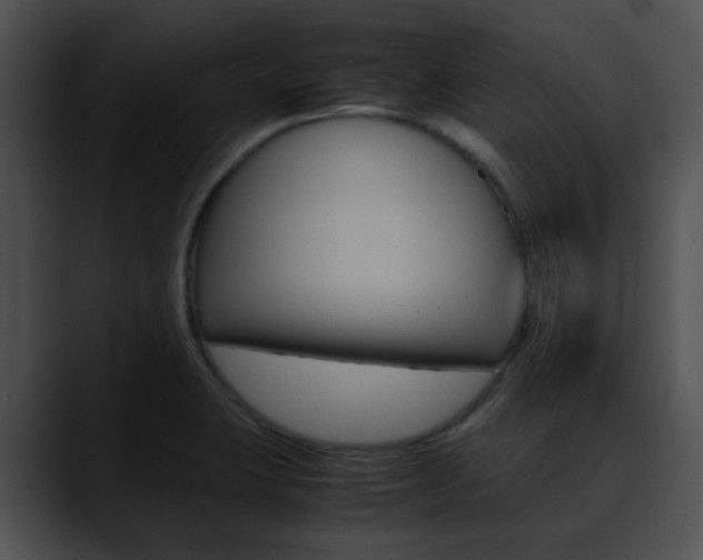 X0000090621423200707171054