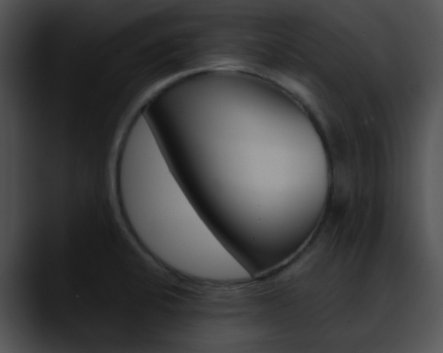 X0000090621424200707171054