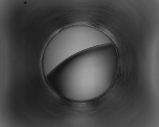 X0000090621428200707171054
