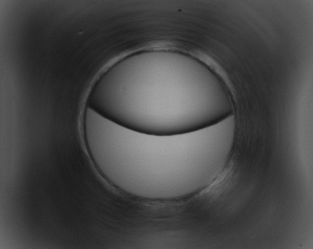 X0000090621429200707171054