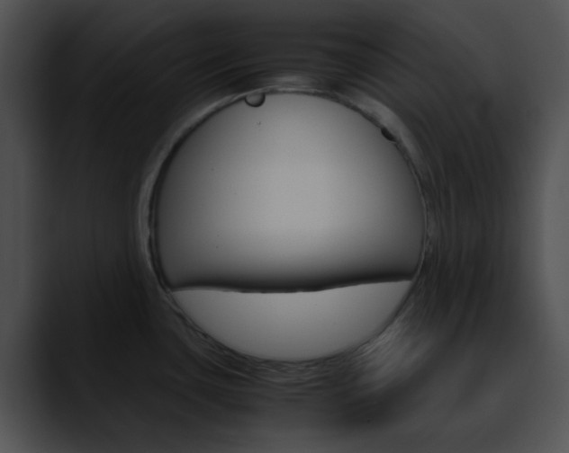 X0000090621435200707171054