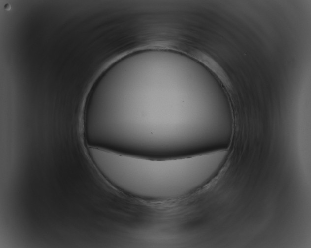 X0000090621436200707171054