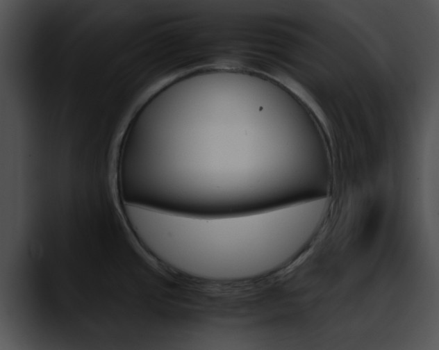 X0000090621437200707171054