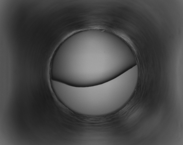 X0000090621439200707171054