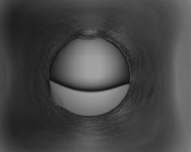 X0000090621441200707171054