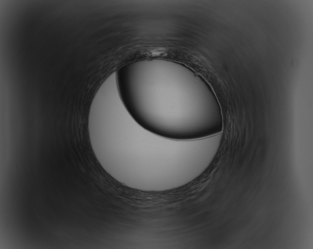 X0000090621442200707171054