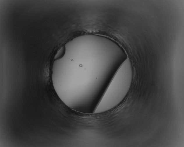 X0000090621444200707171054