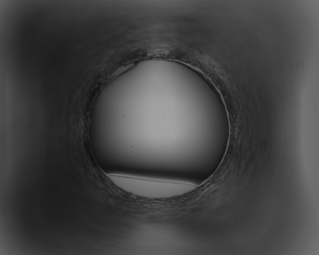 X0000090621445200707171054