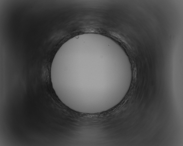 X0000090621446200707171054