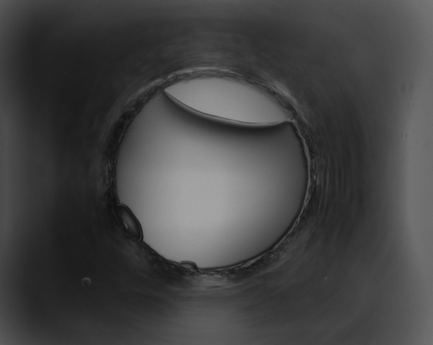 X0000090621448200707171054