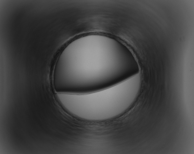 X0000090621452200707171054