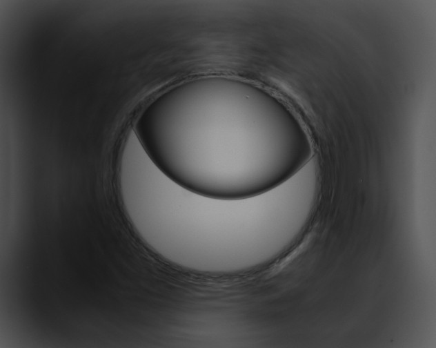 X0000090621453200707171054