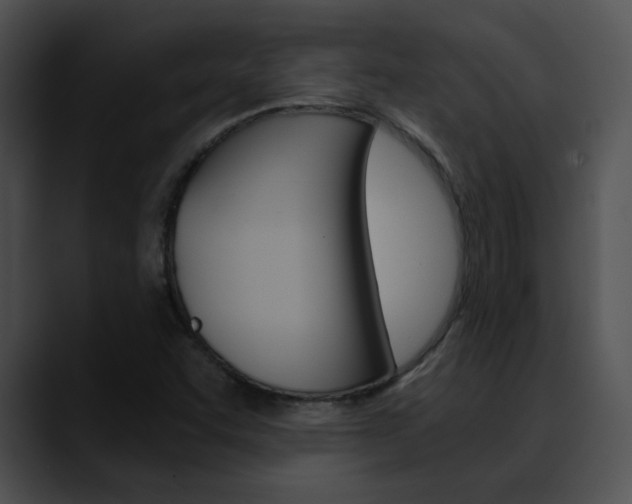 X0000090621455200707171054