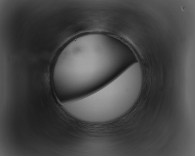 X0000090621460200707171054