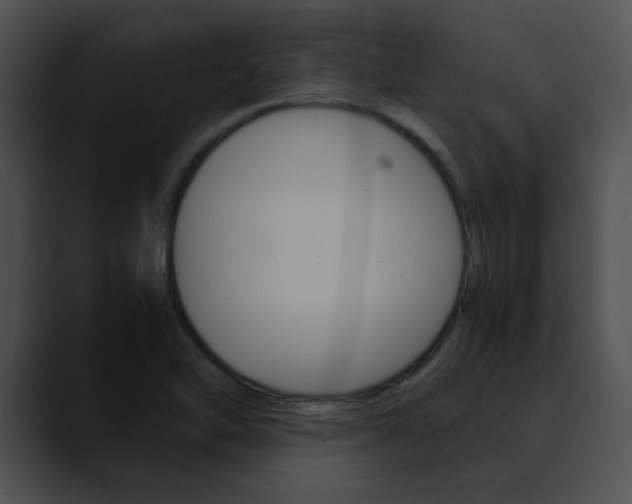 X0000090621462200707171054