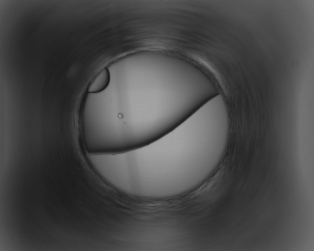 X0000090621467200707171054