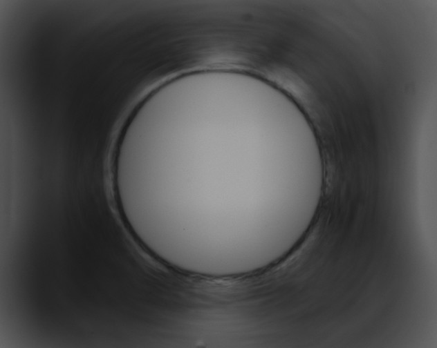 X0000090621470200707171053