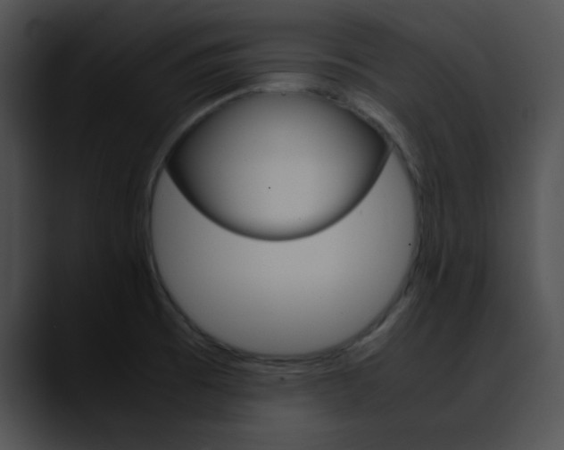 X0000090621473200707171053