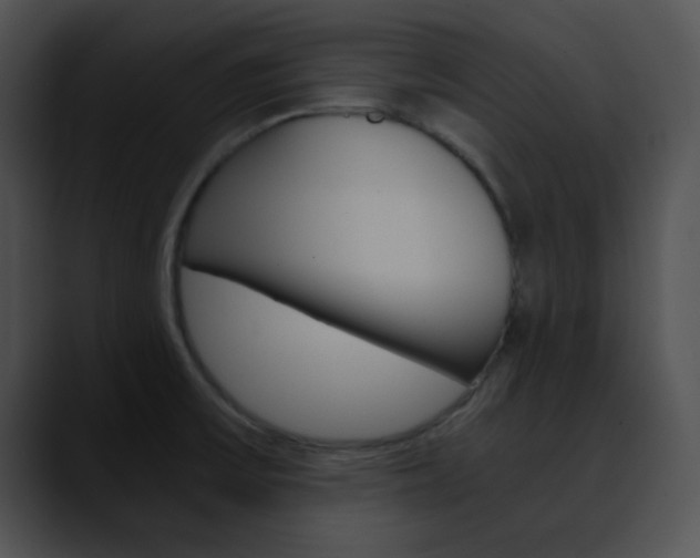 X0000090621475200707171053