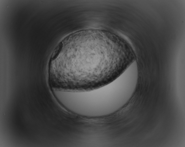 X0000090621479200707171053