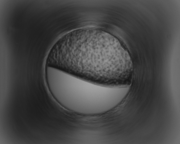 X0000090621483200707171053