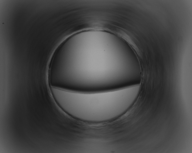 X0000090621484200707171053