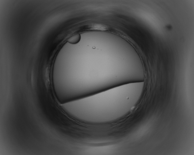 X0000090621487200707171053