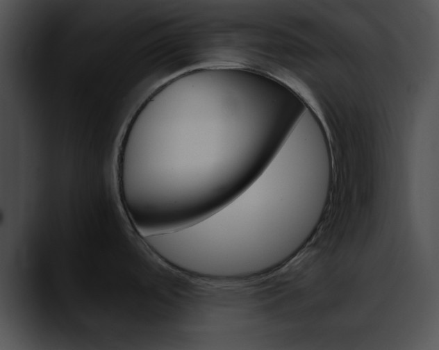 X0000090621488200707171053