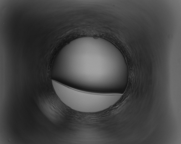 X0000090621490200707171053