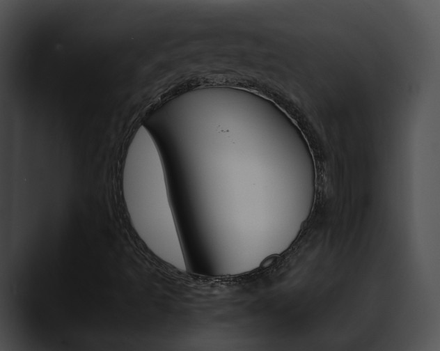 X0000090621493200707171053