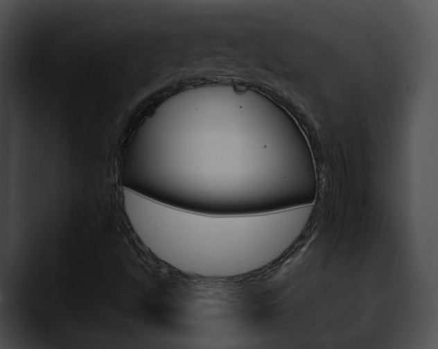 X0000090621494200707171053