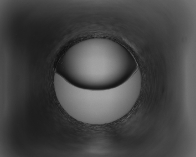 X0000090621495200707171053