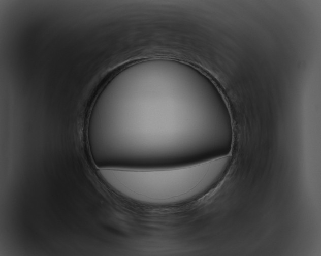 X0000090621499200707171053