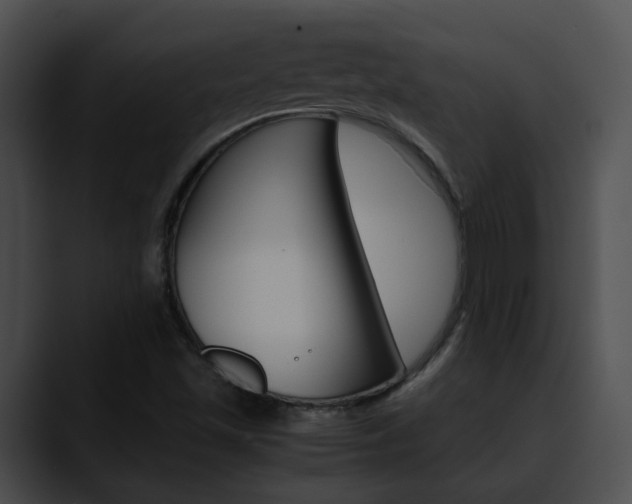 X0000090621501200707171053