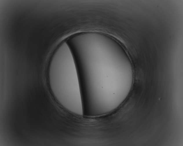 X0000090621507200707171053
