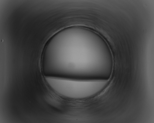 X0000090621513200707171053
