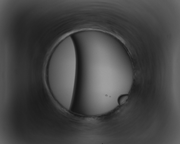 X0000090621523200707171053