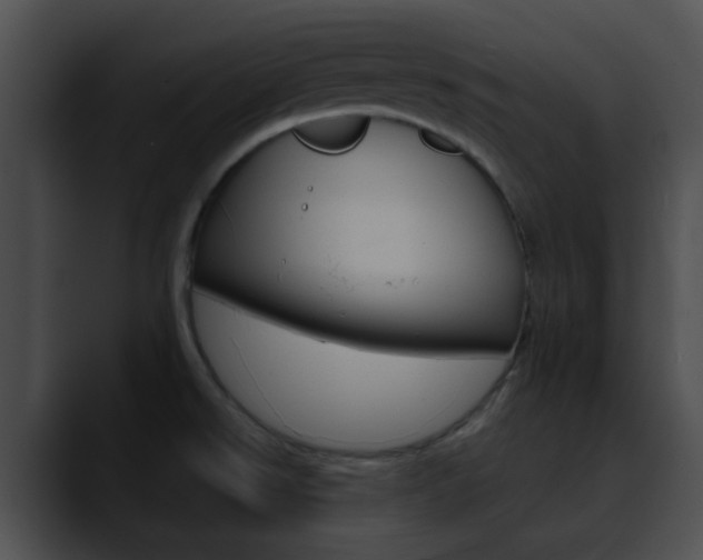 X0000090621526200707171053
