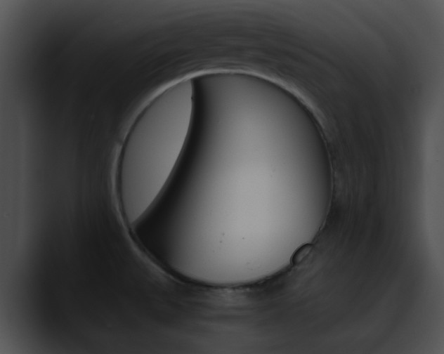 X0000090621527200707171053