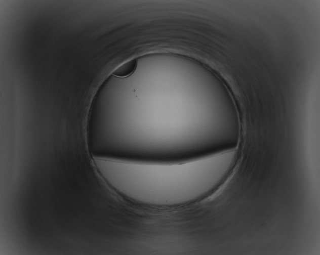 X0000090621529200707171053