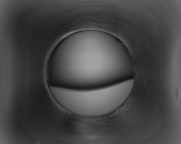 X0000090621531200707171053